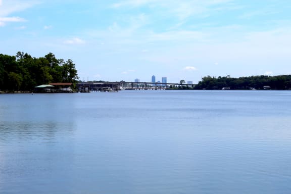 Bridge with the Jacksonville skyline across the lakeBridge with the Jacksonville skyline across the lake