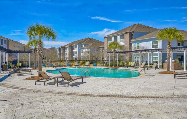 Pool view our apartments have a large pool with chairs and palm trees