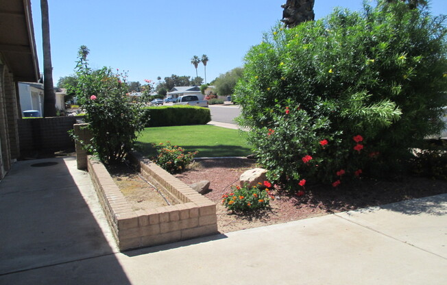 Tempe 4 Bed 2 Bath Includes Pool & Landscaping - Great Location