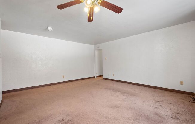 2 beds, 1 bath, 800 sqft, $1,299, Unit 2117 Brownsville Road - B11