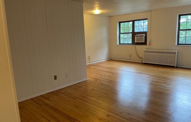 Studio, 1 bath, 487 sqft, $1,250, Unit Fifth 103
