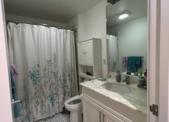 Studio, 1 bath, 511 sqft, $3,300, Unit L310