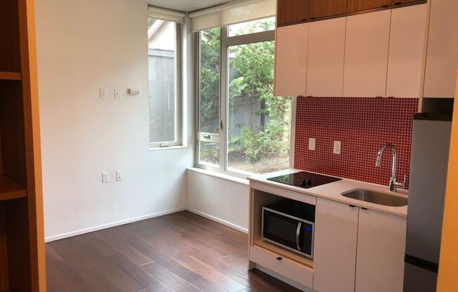 Studio, 1 bath, 202 sqft, $1,100, Unit 102