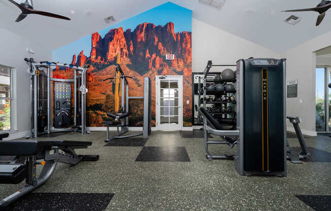 A gym with a large image of a mountain on the wall.