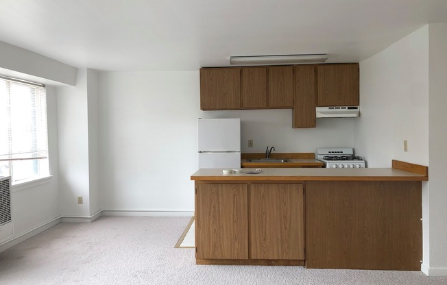 Studio, 1 bath, 420 sqft, $1,350, Unit Unit 206