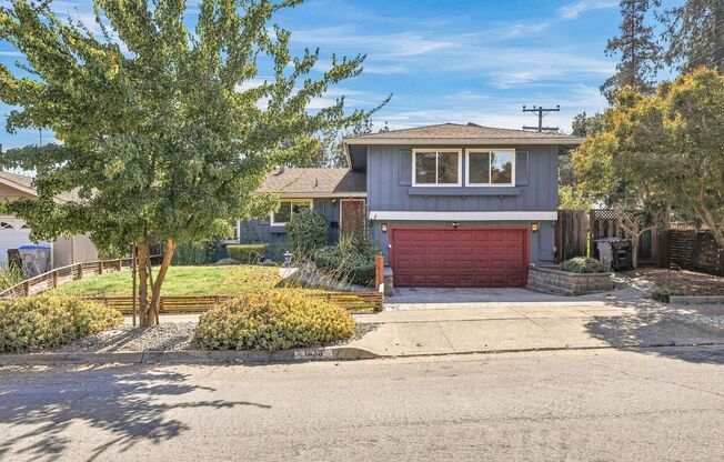 Beautiful home in San Jose - Modern Comforts & Resort-Style Pool