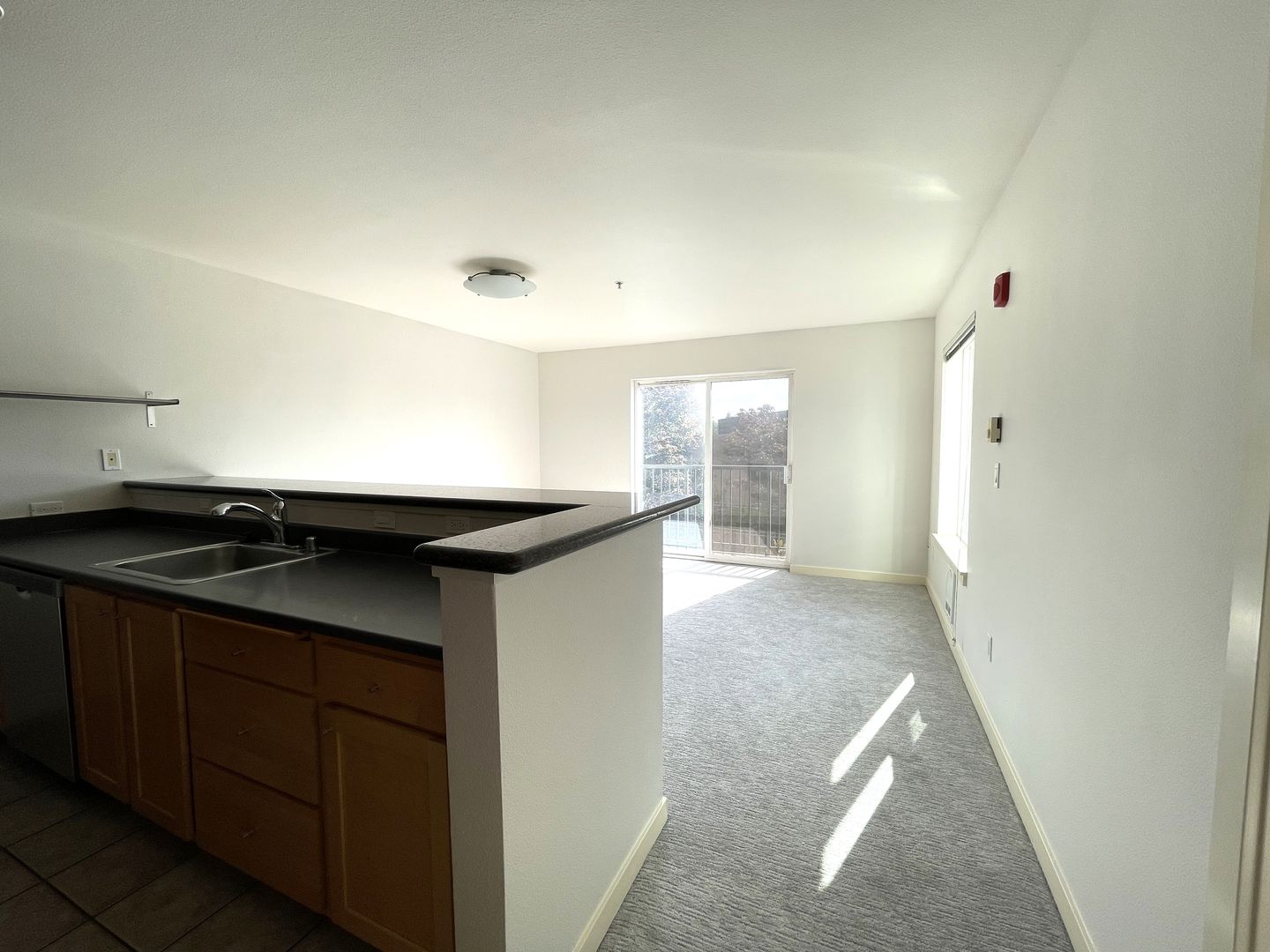 1Bd/1Ba Seattle Condo