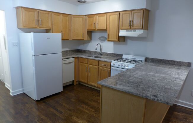 Studio, 1 bath, 475 sqft, $1,025, Unit 203