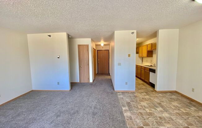 2 beds, 1 bath, 913 sqft, $850, Unit 303