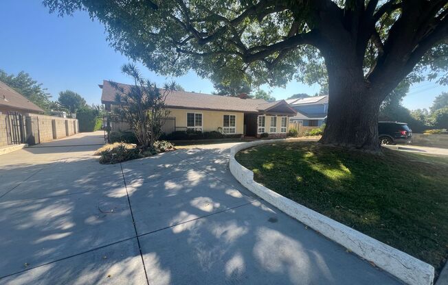 Beautiful, Ranch-Style, 4 Bedroom, 3 Bathroom, North Hills Home for Lease! Ready for Move In!