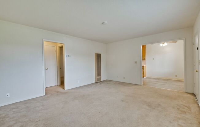 1230 Pedro St