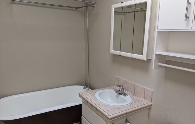 Studio, 1 bath, $1,395, Unit 8