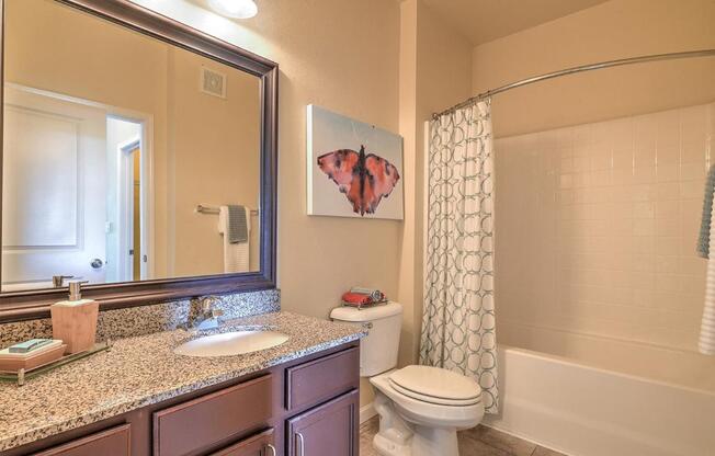 a bathroom with a shower toilet and sink and a mirror