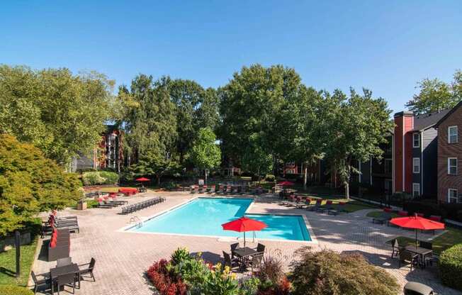 Pool at Elme Druid Hills, Atlanta, GA 30329