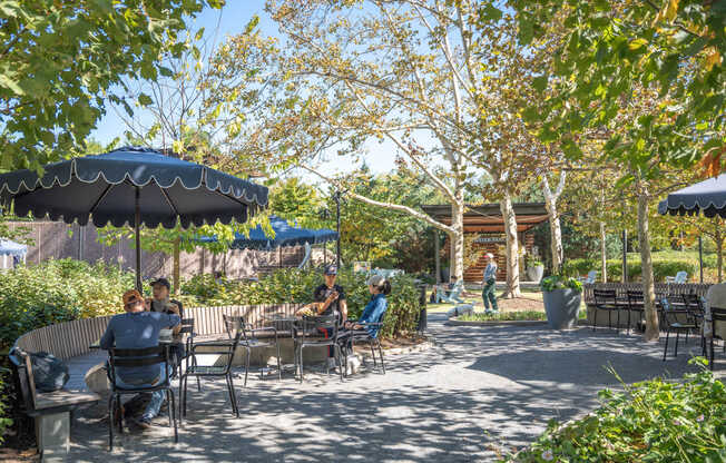 Enjoy the sun at the park