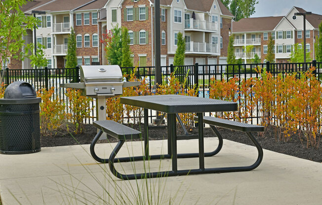 Grill and Picnic Area at Irene Woods Apartments, Collierville, 38017