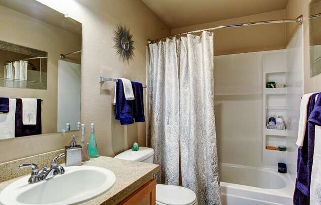 a bathroom with a sink toilet and a shower at 2000 Lake Washington Apartments, Renton