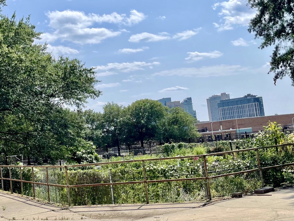 City Springs Park Community Gardens