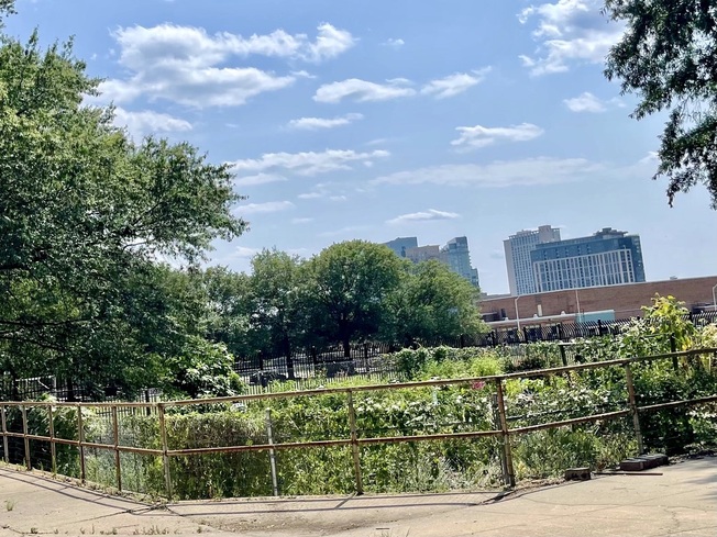 City Springs Park Community Gardens