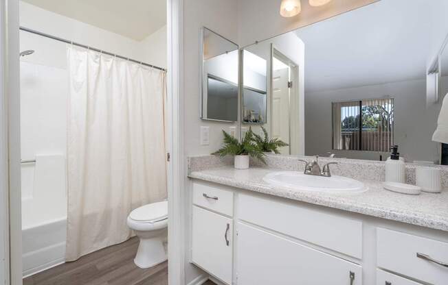 A bathroom with a white toilet, sink, and shower curtain.