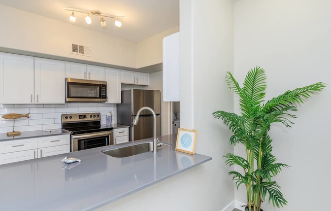 A modern kitchen with a stainless steel sink and a potted plant.