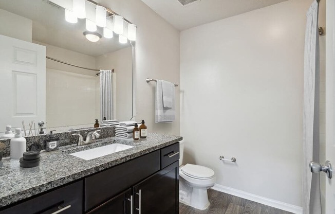 Model bathroom with dark vanity