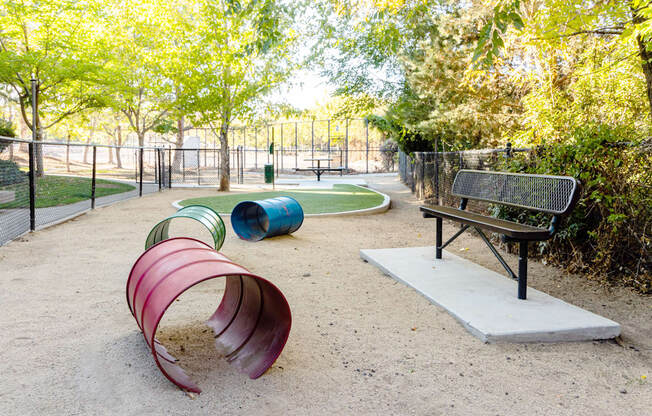 a dog park