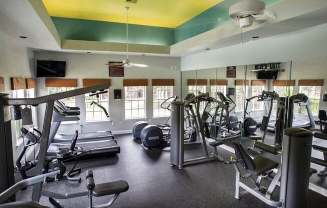 the gym has a variety of weights and cardio equipment