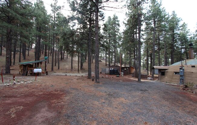 $300 OFF First Month | Unique Dome Studio Surrounded by Ponderosa Pines – Parks, AZ