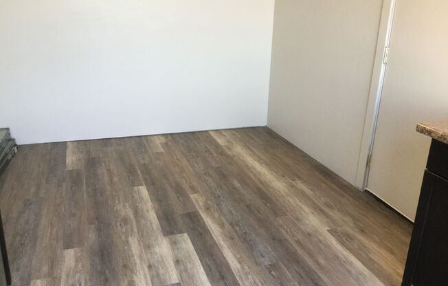 Studio, 1 bath, 300 sqft, $975, Unit #302