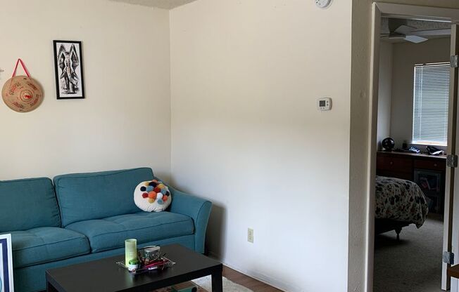 1 bed, 1 bath, 500 sqft, $995