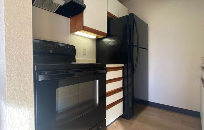 Studio, 1 bath, 538 sqft, $1,425, Unit 405
