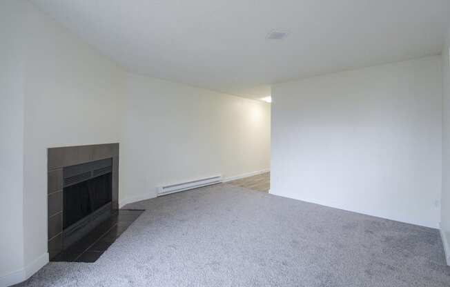 Fireplaces in Every Home