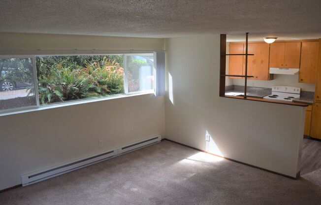 Sanders Apartments