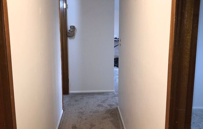 1 bed, 1 bath, $1,695