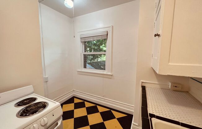 Studio, 1 bath, 310 sqft, $1,299, Unit 204