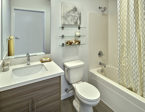 Studio, 1 bath, 325 sqft, $1,375, Unit 514