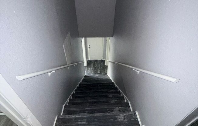 3012 Live Oak Street