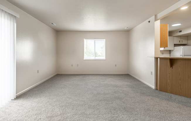 A large, empty room with a window and a carpeted floor