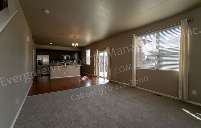 Spacious Home in Timnath Ranch Sub-Div!