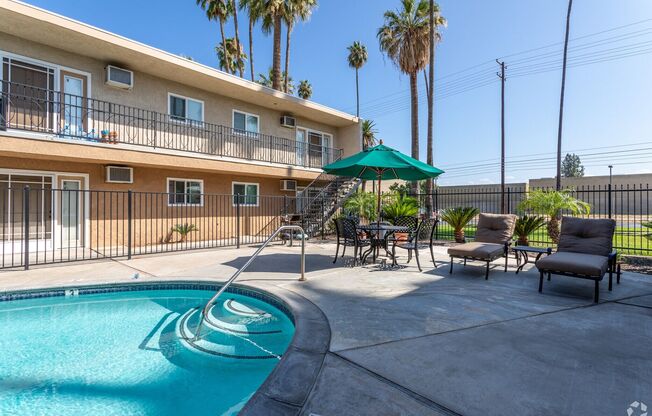 Beautiful Sago Palms