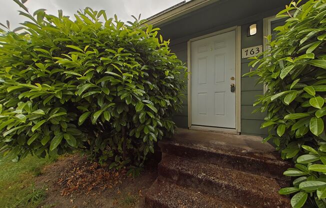 Apartment ~ Close to Campus ~ Cat Friendly