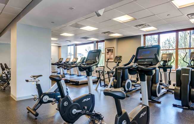 Cardio equipment inside fitness center including recumbent bikes and treadmills