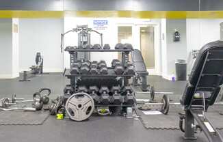 a view of the weights room at the newport news gym