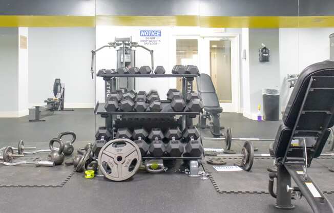 a view of the weights room at the newport news gym