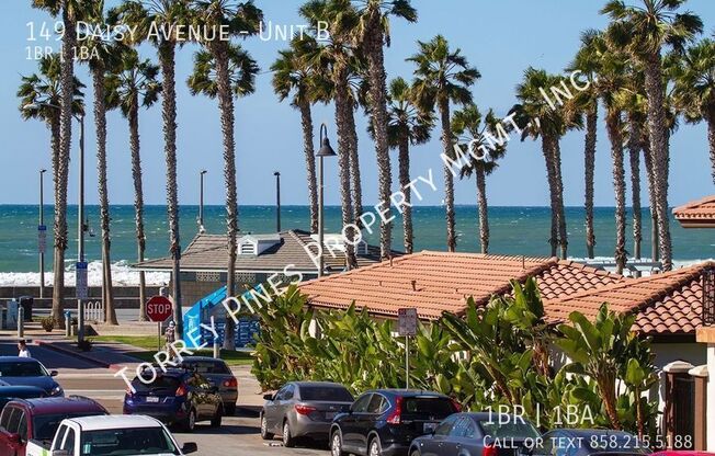 149 DAISY AVE