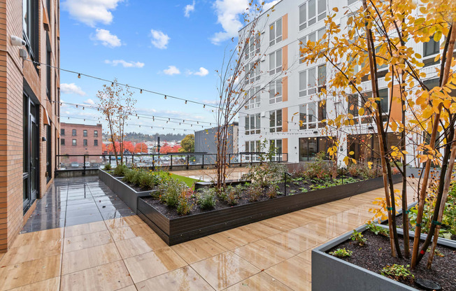 The Warren Apartments Outdoor Courtyard