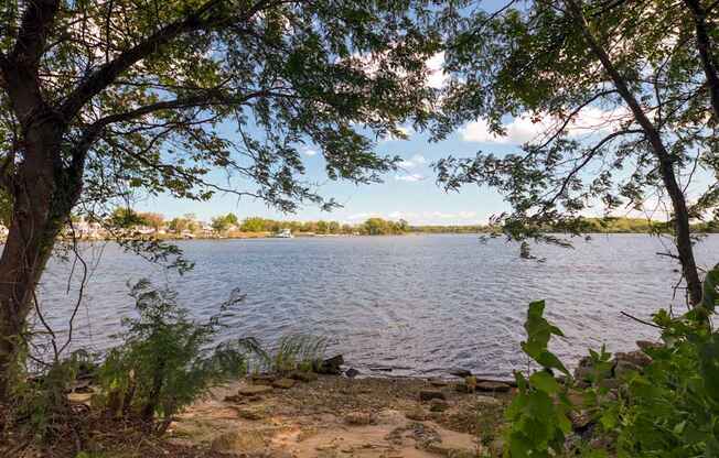 A serene lake surrounded by trees and foliage under a clear sky.