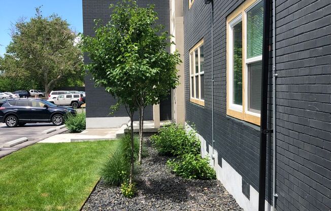 1 bed, 1 bath, 402 sqft, $1,099, Unit 532 - (14)