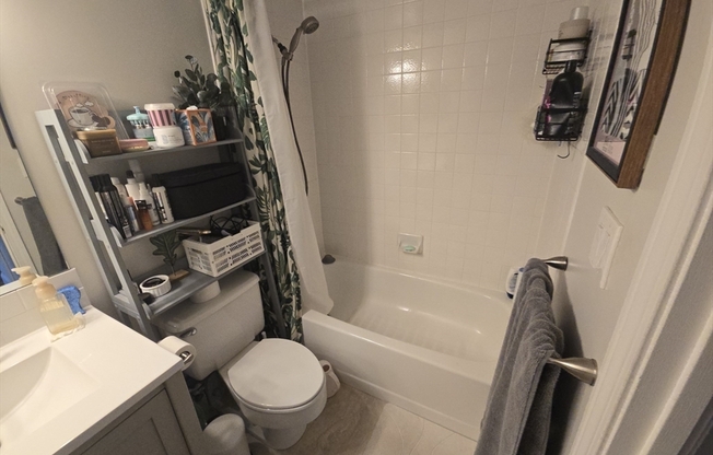 1 bed, 1 bath, 700 sqft, $3,100, Unit 610